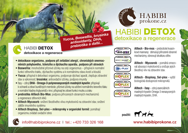 HABIBI - DETOX, 2 kg - 40 dní (při dávkování pro koně)